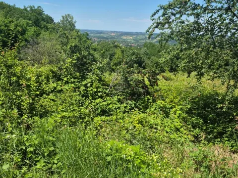 Sale, land lot, 11500m², Valjevo, Srbija - image 2