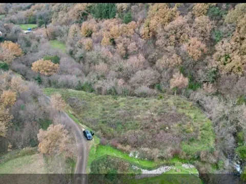 Sale, land lot, 751m², Radanovići, Kotor - image 5