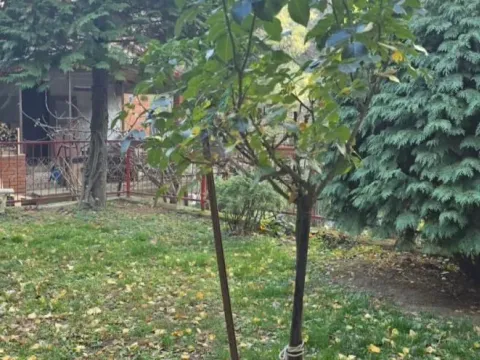 Prodaja, kuća, 63m², Rakovac, Novi Sad Sve Podlokacije - image 26