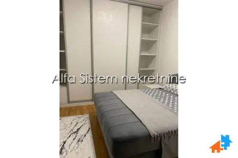 Rent, two bedroom apartment, 44m², Cvetkova Pijaca, Zvezdara Sve Podlokacije - image 13