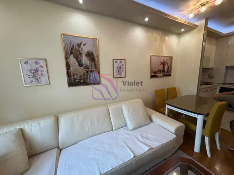 Rent, one bedroom apartment, 50m², City Kvart, Podgorica - image 15