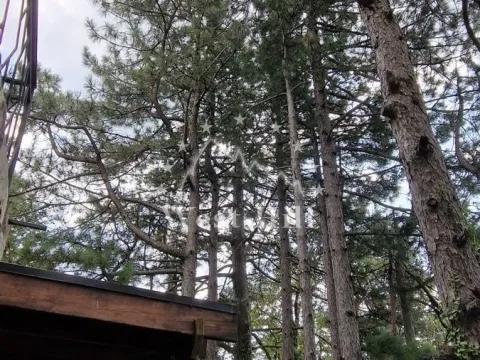 Sale, house, 200m², Markovići, Budva - image 27