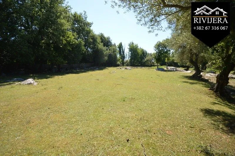 Prodaja, plac, 19000m², Podi, Herceg Novi