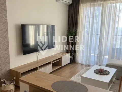 Izdavanje, dvosoban stan, 54m², Savski Venac, Beograd - image 5