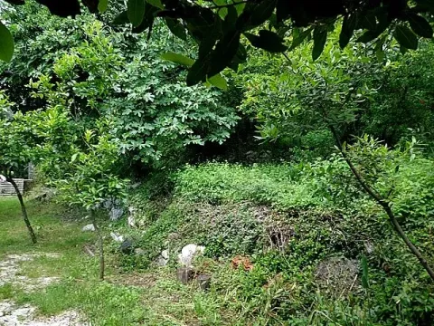 Sale, land lot, 7010m², Lipci, Kotor - image 2