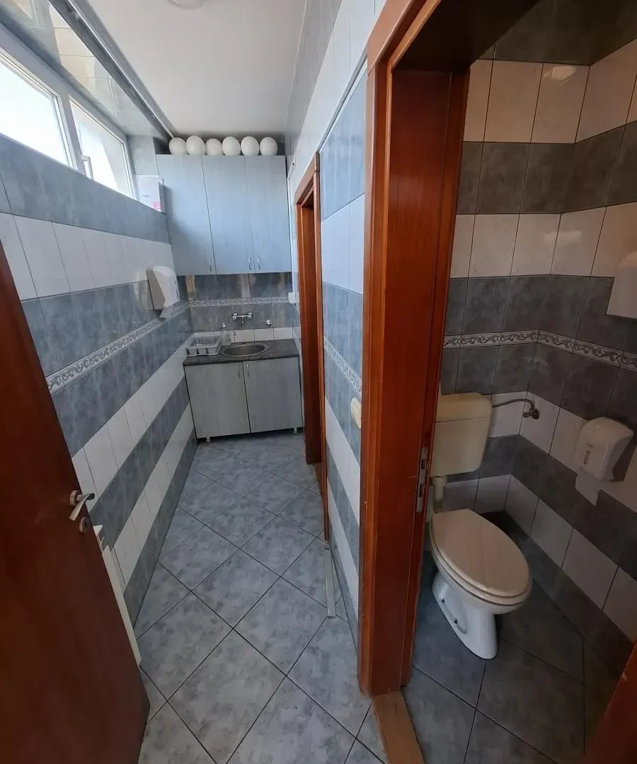 Izdavanje, stan, 220m², Centar, Novi Sad