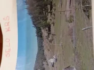 Sale, land lot, 15500m², Krš, Žabljak - image 6