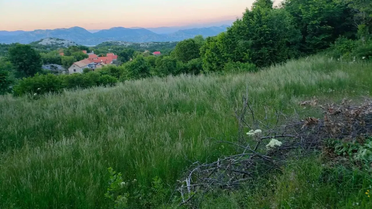 Prodaja, plac, 3516m², Cetinje, Crna Gora