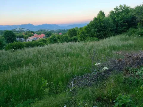 Prodaja, plac, 3516m², Cetinje, Crna Gora