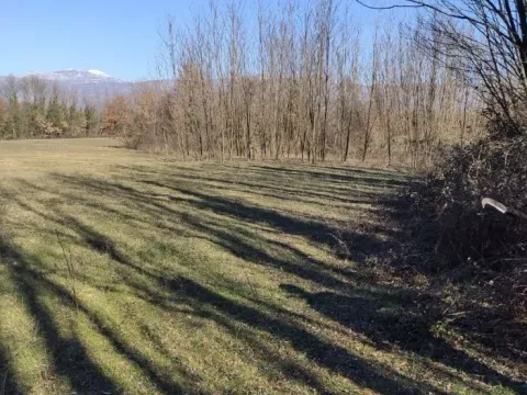 Prodaja, plac, 11000m², Donji Zagarač, Danilovgrad - image 3