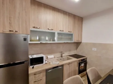 Izdavanje, jednosoban stan, 50m², Pobrežje, Podgorica - image 2