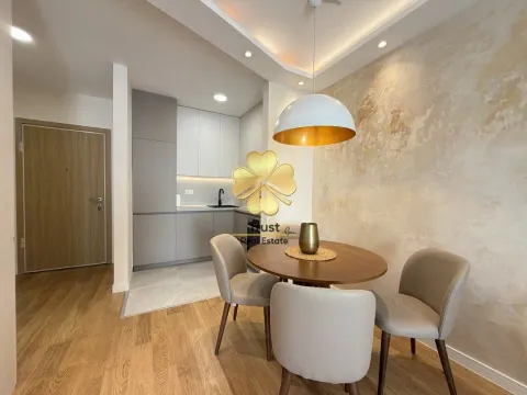 Izdavanje, jednosoban stan, 45m², Central Point, Podgorica - image 4