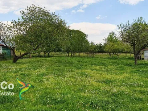 Prodaja, kuća, 132m², Danilovgrad, Crna Gora - image 4