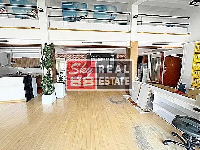 Izdavanje, stan, 415m², Vračar Sve Podlokacije, Beograd