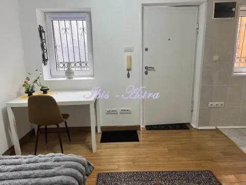 Izdavanje, jednosoban stan, 20m², Stari Grad, Beograd - image 6