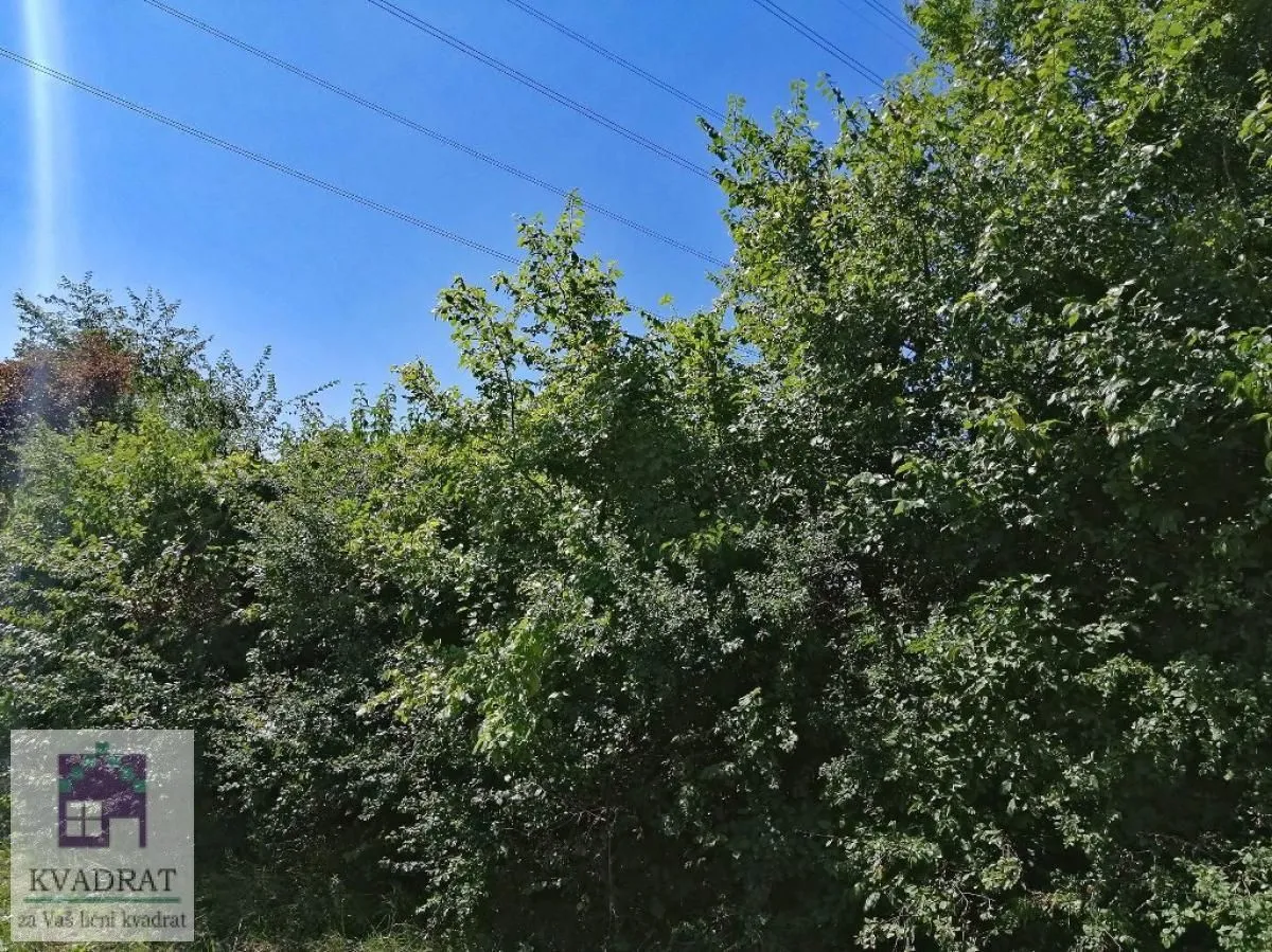 Prodaja, plac, 3500m², Skela, Obrenovac