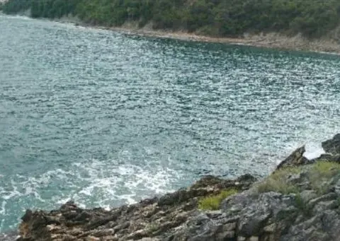 Prodaja, plac, 2000m², Bar, Crna Gora - image 3