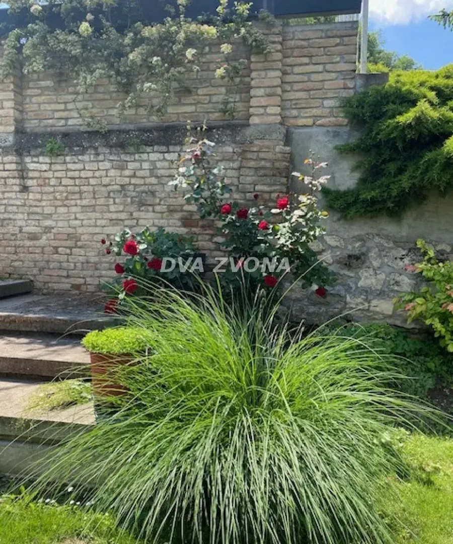 Prodaja, ugostiteljski objekat, 630m², Stari Slankamen, Inđija