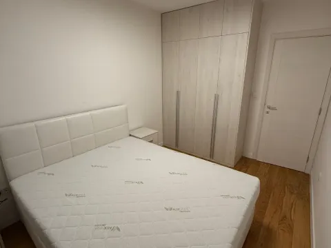 Prodaja, jednosoban stan, 49m², Central Point, Podgorica - image 9