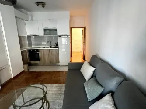 Izdavanje, dvosoban stan, 37m², Vračar Sve Podlokacije, Beograd - image 5