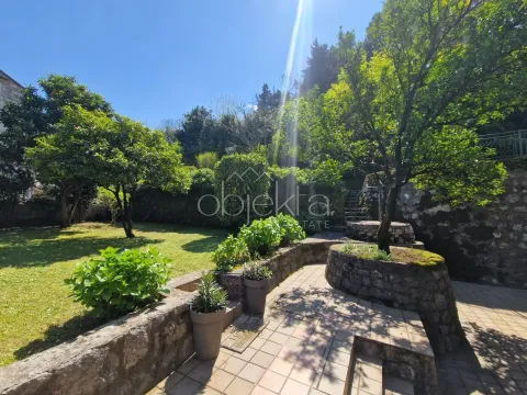 Landscaped yard with greenery and trees. - image 4