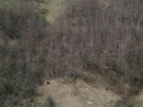 Prodaja, plac, 7254m², Jabuka, Kolašin - image 3