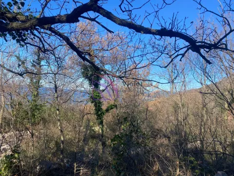 Sale, land lot, 2214m², Blizikuće, Budva - image 4