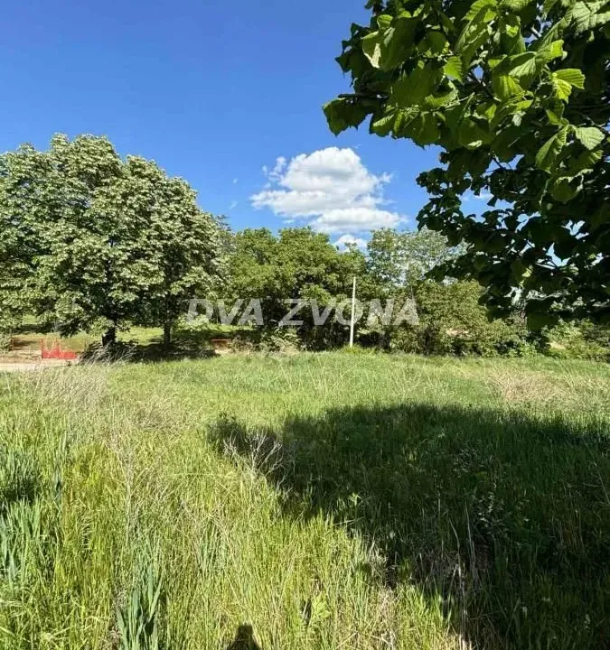 Sale, land lot, 1500m², Čortanovci, Inđija