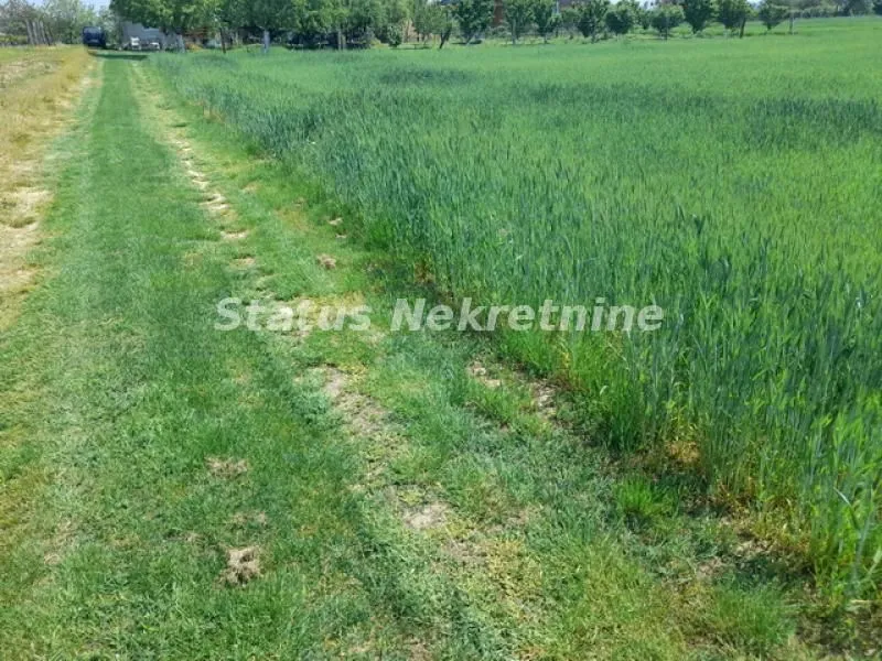 Prodaja, plac, 5800m², Irig, Srbija