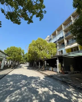 View of the paved street with trees in front of the apartment building. - image 9