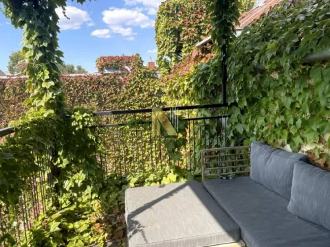 Terasa sa garniturom za sedenje i bujnim zelenilom oko ograde. - image 30
