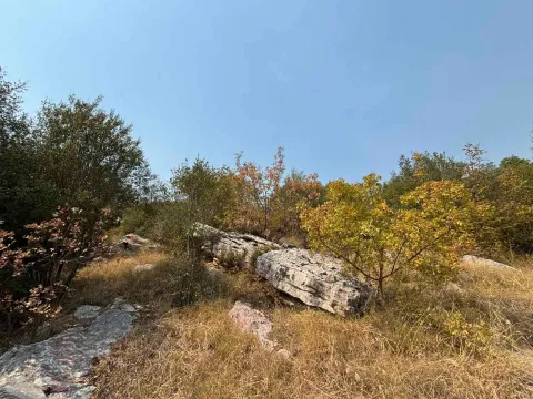 Pogled na prirodno okruženje sa drvećem i stenama. - image 7