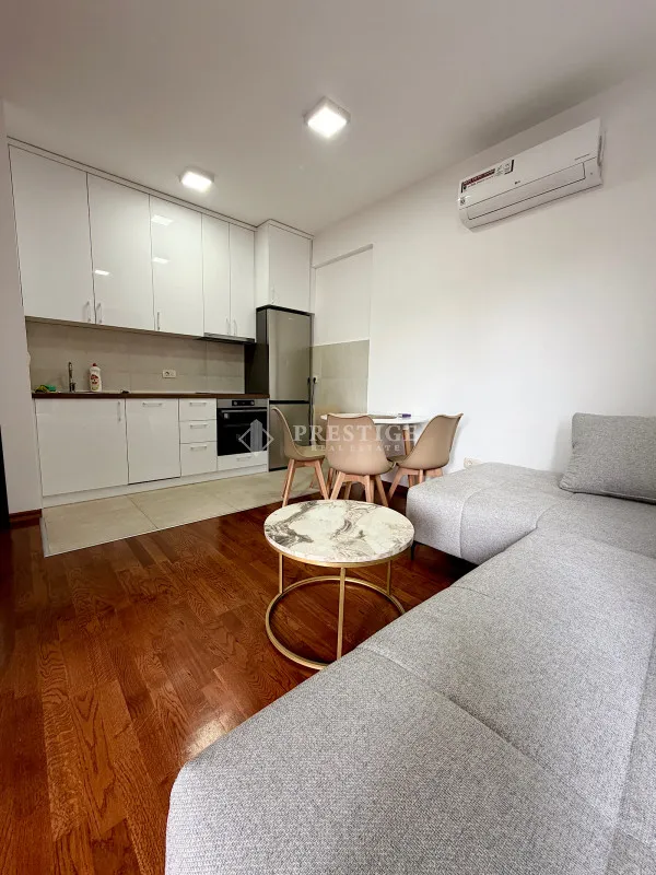 Rent, one bedroom apartment, 45m², Ljubović, Podgorica