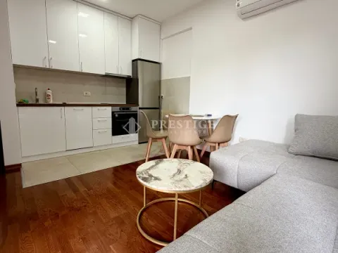 Izdavanje, jednosoban stan, 45m², Ljubović, Podgorica - image 2