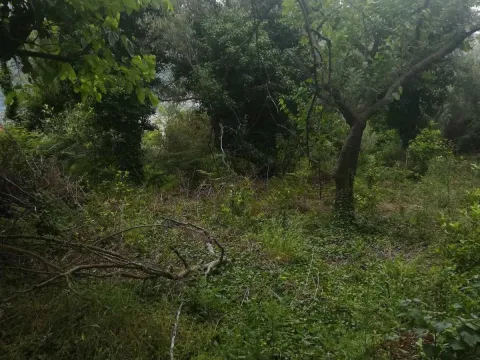 Prodaja, plac, 1843m², Herceg Novi, Crna Gora - image 2