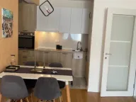 Izdavanje, jednosoban stan, 50m², Central Point, Podgorica - image 9