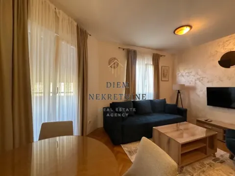 Izdavanje, jednosoban stan, 43m², Stari Aerodrom, Podgorica - image 10