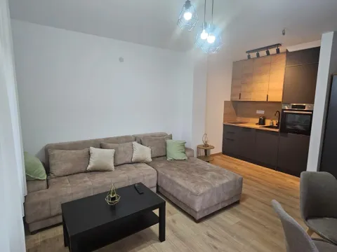 Izdavanje, jednosoban stan, 45m², Đenovići, Herceg Novi - image 2