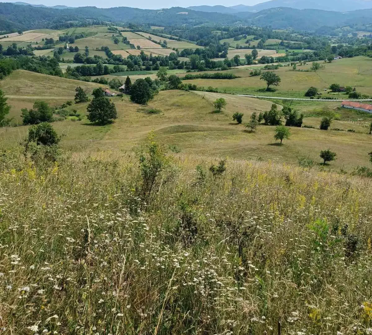 Prodaja, kuća, 360m², Ugrinovci, Gornji Milanovac
