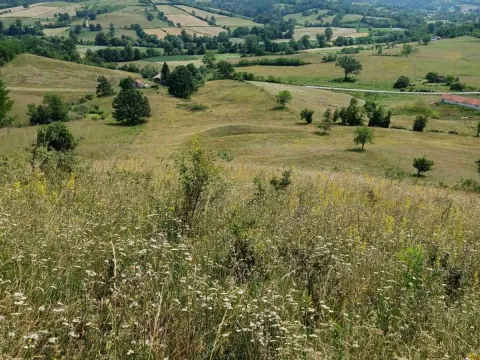 Prodaja, kuća, 360m², Ugrinovci, Gornji Milanovac - image 10
