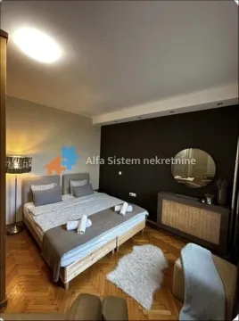 Izdavanje, jednosoban stan, 50m², Stari Grad, Beograd - image 8