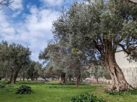 Prodaja, kuća, 267m², Bar, Crna Gora - image 9