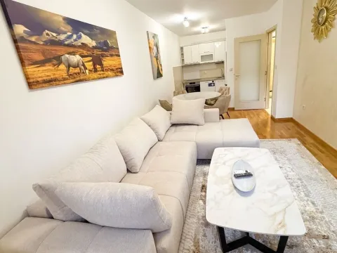 Izdavanje, jednosoban stan, 46m², Zagorič, Podgorica - image 2