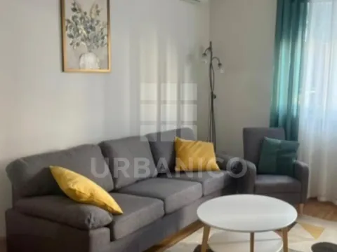 Izdavanje, jednosoban stan, 46m², Stari Aerodrom, Podgorica - image 2