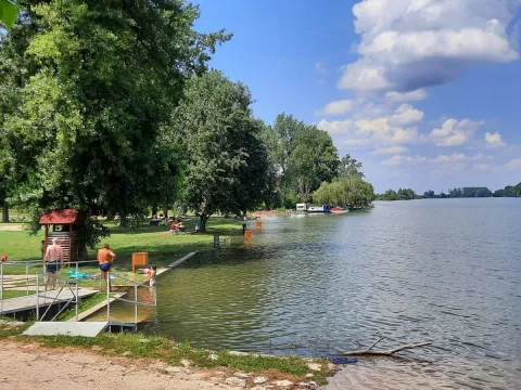 Prodaja, kuća, 240m², Titel, Novi Sad - image 19