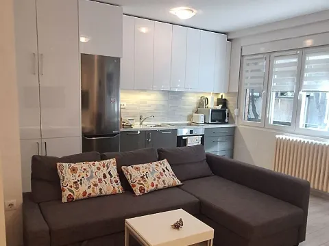 Izdavanje, dvosoban stan, 41m², Vračar Sve Podlokacije, Beograd - image 8