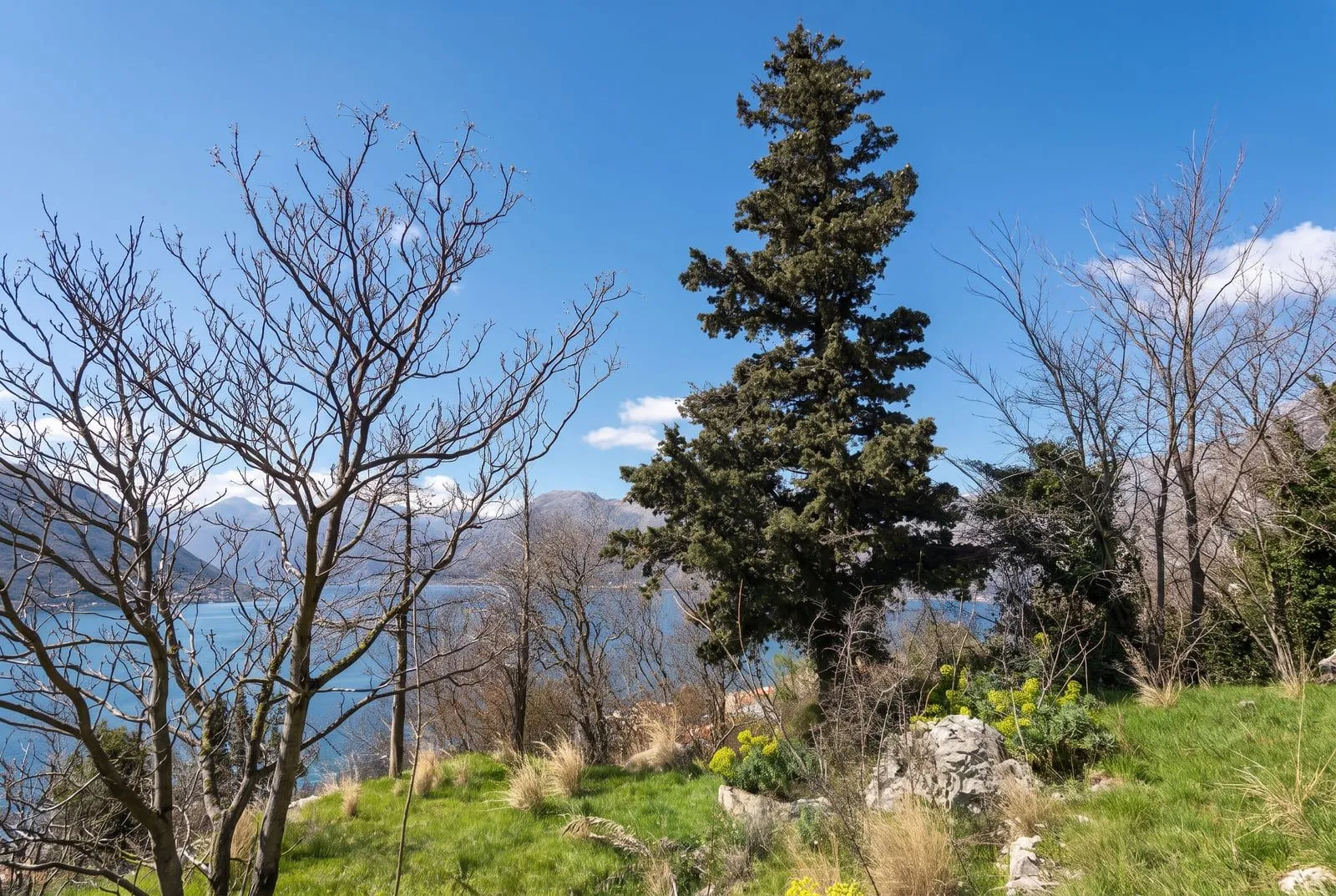 Prodaja, plac, 2733m², Dobrota, Kotor