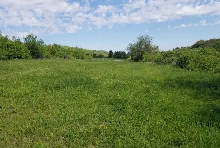 Prodaja, plac, 1500m², Beočin, Srbija