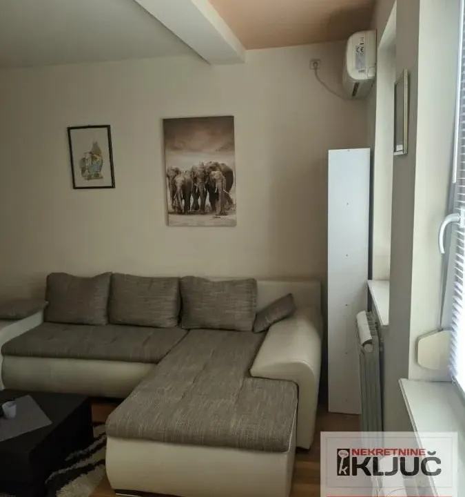 Izdavanje, dvosoban stan, 47m², Bulevar Oslobodjenja, Novi Sad Sve Podlokacije