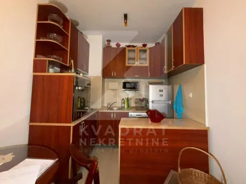 Izdavanje, dvosoban stan, 55m², Stari Aerodrom, Podgorica - image 4